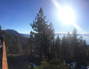 Tahoe View
