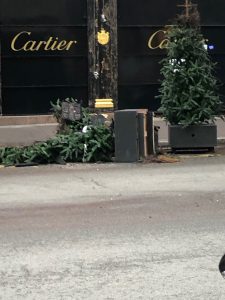 Cartier Trees Torched in Paris Riots