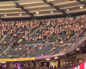 Shirtless Protestors and LA Angels Game